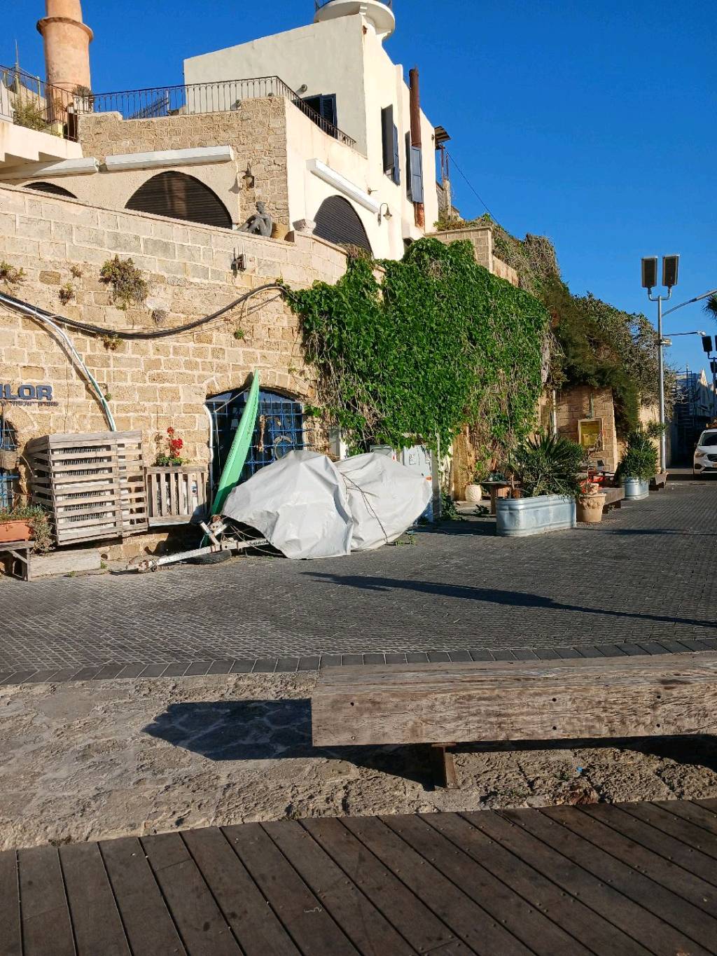 جبل الزيتون 