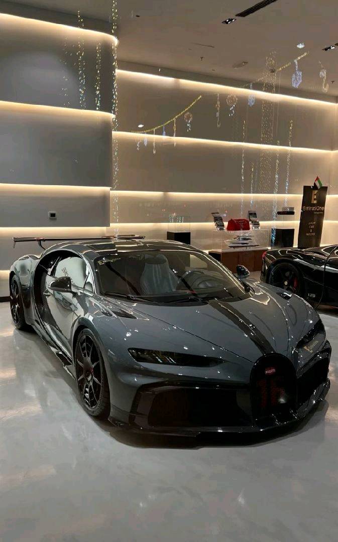 شقة للايجار 